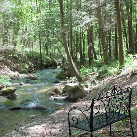 Private Creekside Cabin+Hot Tub,Pool Table, & Pets Ellijay Eksteriør bilde